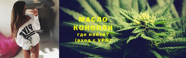 индика Нефтегорск