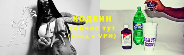 индика Нефтегорск