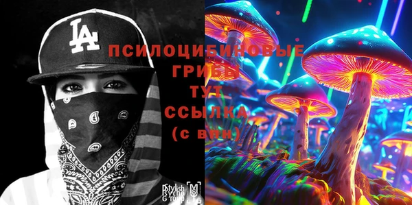индика Нефтегорск