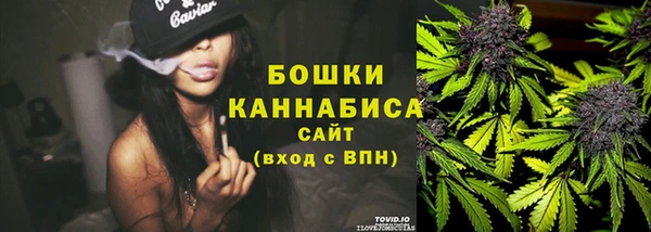 индика Нефтегорск