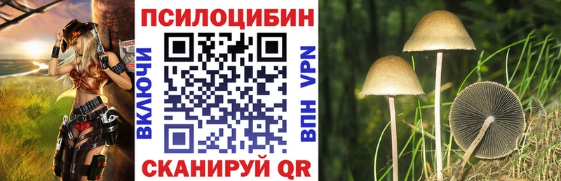 blacksprut зеркало  Омутнинск  Псилоцибиновые грибы Psilocybine cubensis 