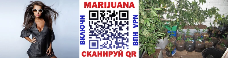 MEGA маркетплейс  купить  цена  Омутнинск  Конопля Bruce Banner 